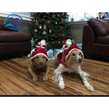 EB™️Santa Reindeer Coat
